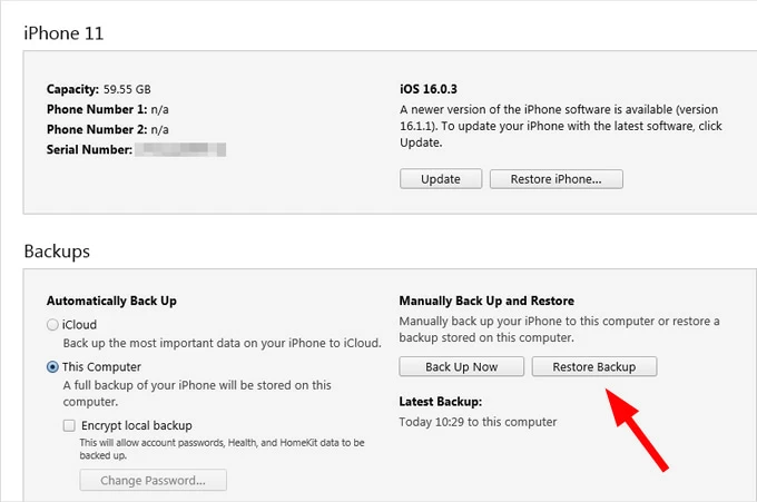 iTunes backup interface