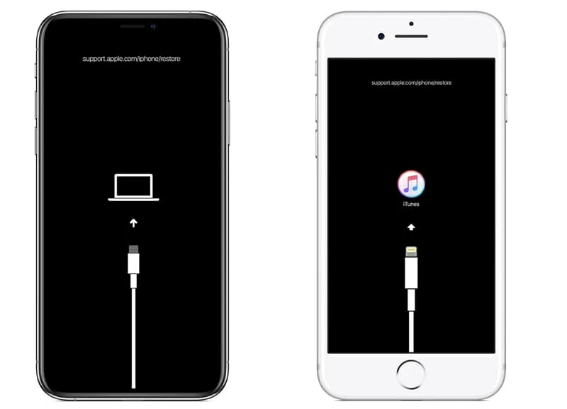 5 Ways to Fix support.apple.com/iphone/restore Screen