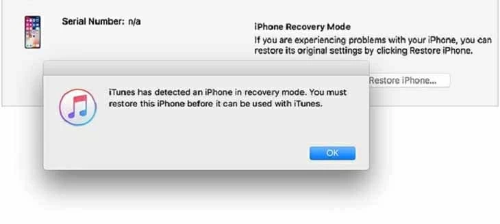 Restoring iPhone 11 in DFU Mode