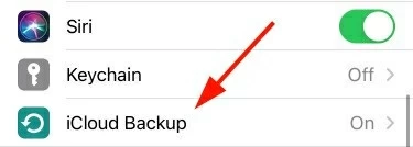 Select iCloud backup