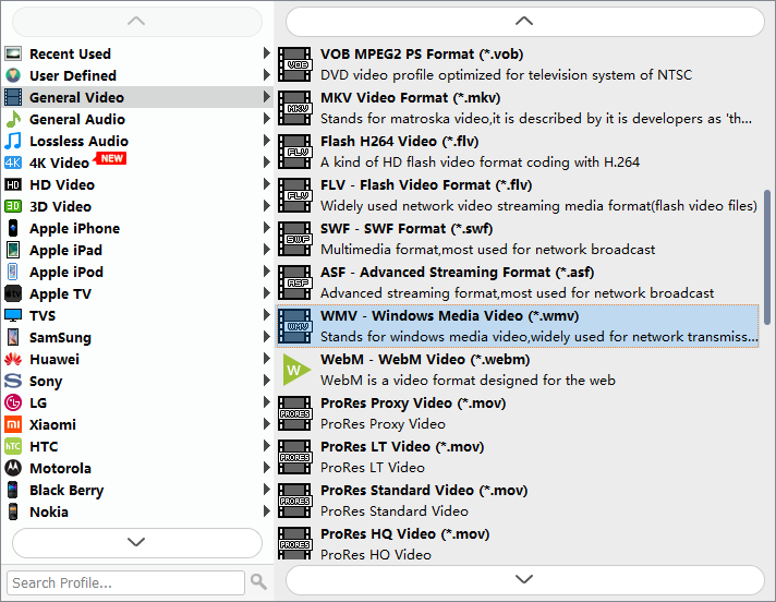 Why Windows Media Player Won't Play MP4? Top 4 Ways