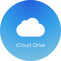 From iCloud backup