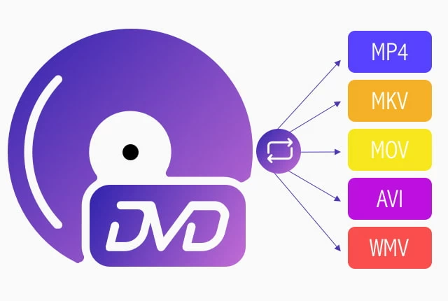 Rip DVDs to a Group of Digital Formats