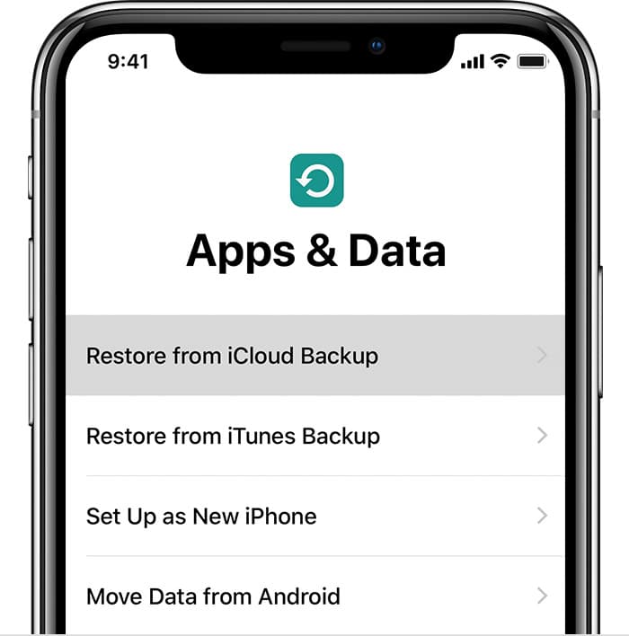 Recover Deleted Files from iPhone X with iCloud Backup