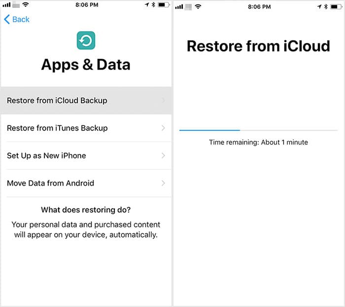 How to Recover Deleted Texts from an iCloud Backup