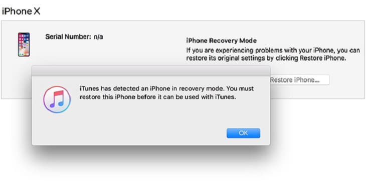 iPhone restart loop after restore
