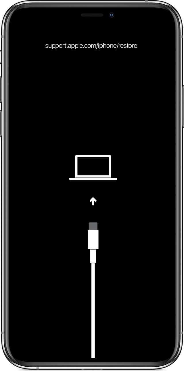 iPhone XS Max Black Screen of Death Fix