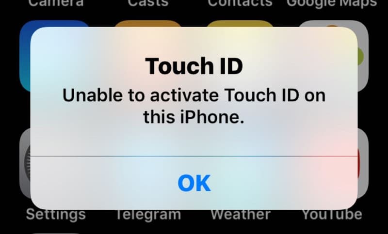 activate touch id on bluebird app