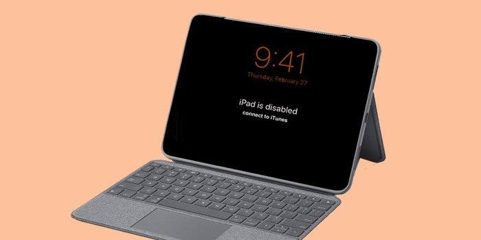 IPad Is Disabled Connect To ITunes Unlock And Reset IPad Now 